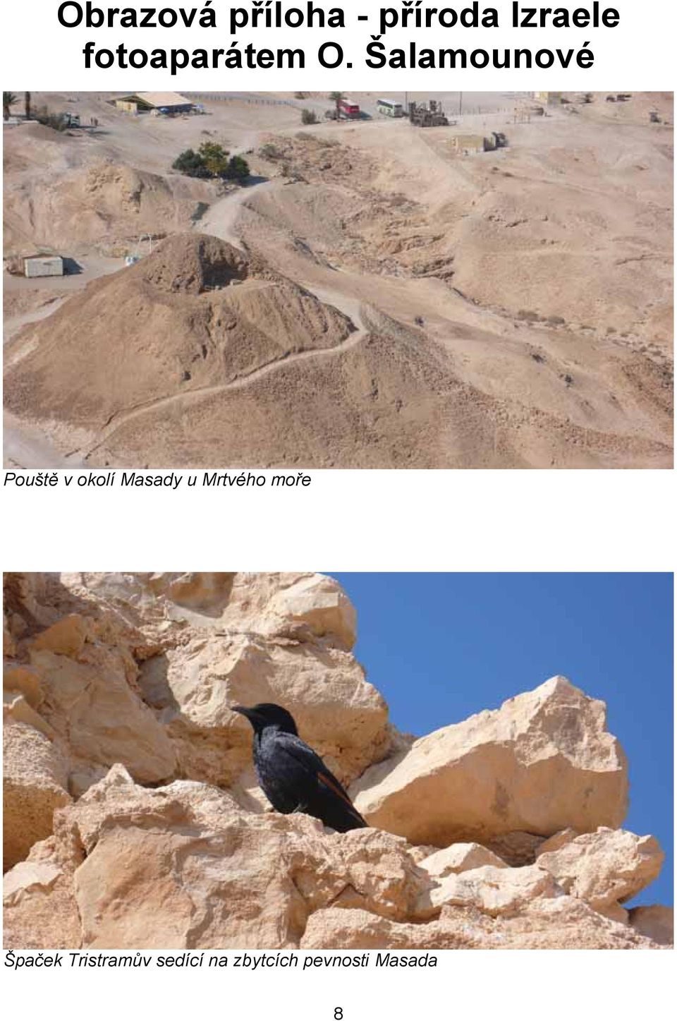 Šalamounové Pouště v okolí Masady u