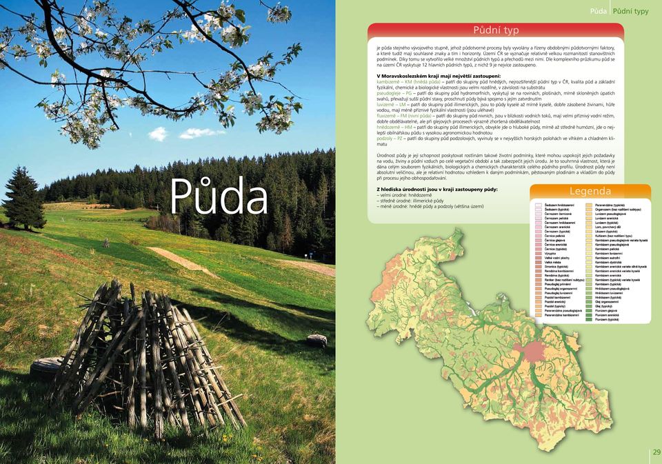 Dle komplexního průzkumu půd se na území ČR vyskytuje 12 hlavních půdních typů, z nichž 9 je nejvíce zastoupeno.