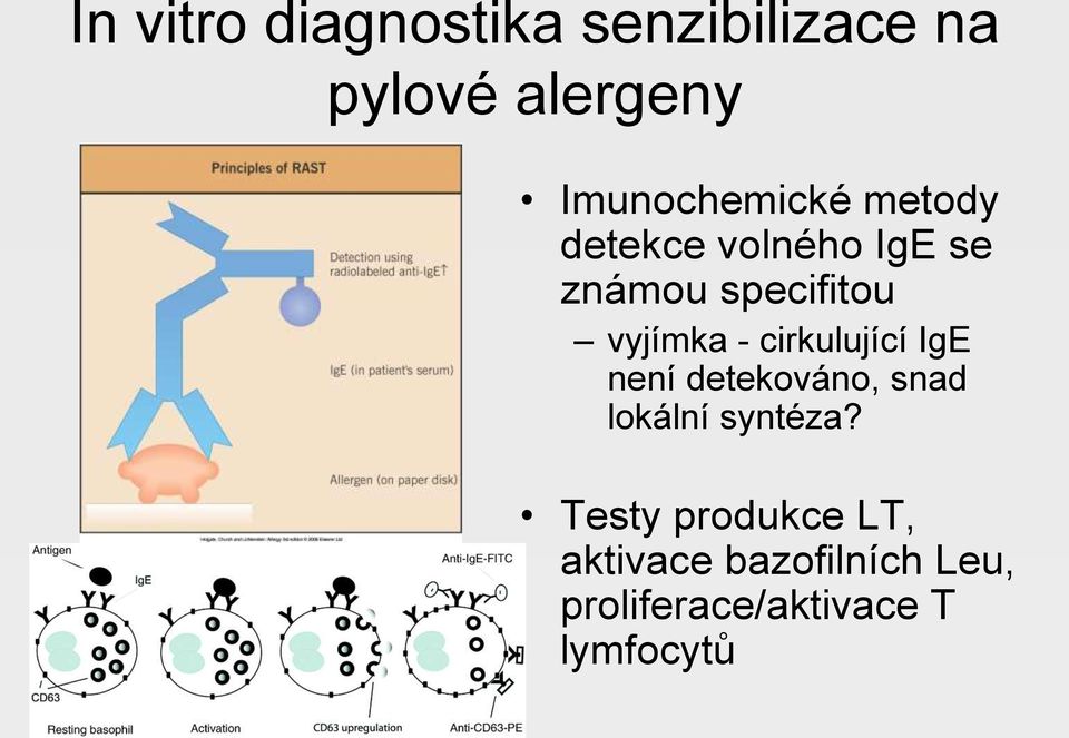 vyjímka - cirkulující IgE není detekováno, snad lokální syntéza?