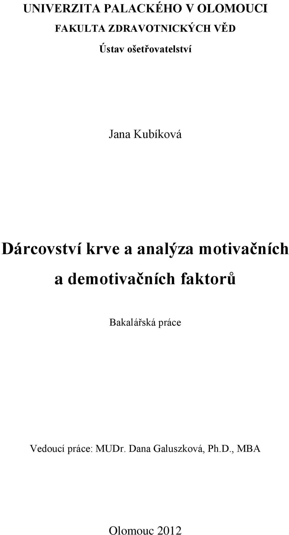 analýza motivačních a demotivačních faktorů Bakalářská