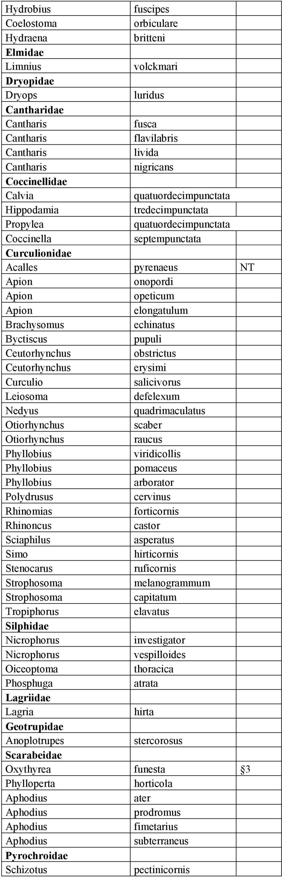 elongatulum Brachysomus echinatus Byctiscus pupuli Ceutorhynchus obstrictus Ceutorhynchus erysimi Curculio salicivorus Leiosoma defelexum Nedyus quadrimaculatus Otiorhynchus scaber Otiorhynchus