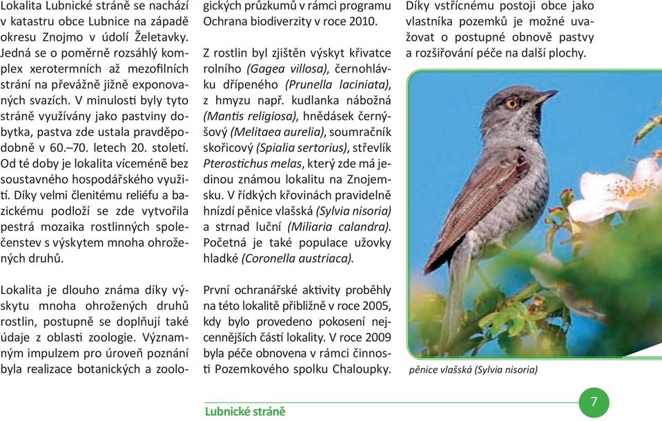 V minulosti byly tyto stráně využívány jako pastviny dobytka, pastva zde ustala pravděpodobně v 60. 70. letech 20. století. Od té doby je lokalita víceméně bez soustavného hospodářského využití.