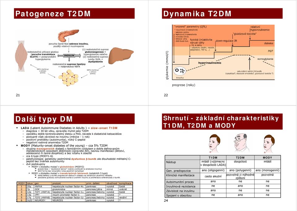 the young) cca 5% T2DM skupina monogenních diabetů s familiárním výskytem a dobře definovaným mendelistickým způsobem dědičnosti (zpravidla AD), časnou manifestací (dětství, adolescenci či časná