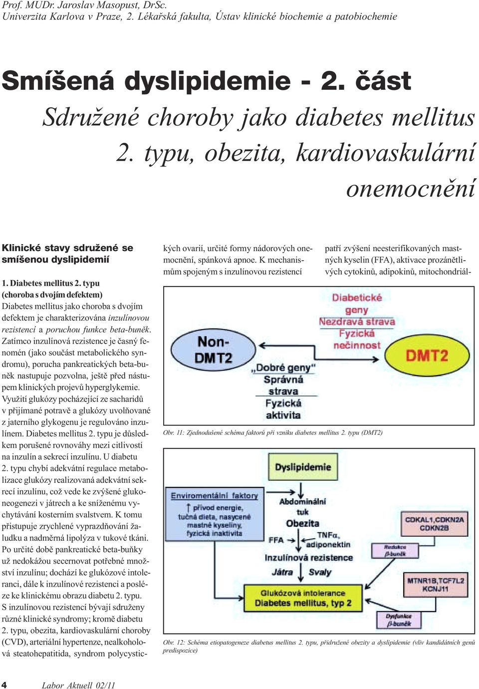 typu (choroba s dvojím defektem) Diabetes mellitus jako choroba s dvojím defektem je charakterizována inzulínovou rezistencí a poruchou funkce beta-bunìk.