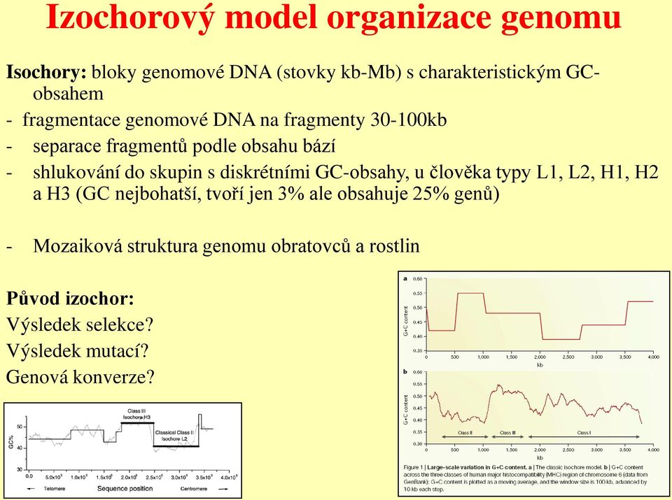 diskrétními GC-obsahy, u člověka typy L1, L2, H1, H2 a H3 (GC nejbohatší, tvoří jen 3% ale obsahuje 25% genů) -