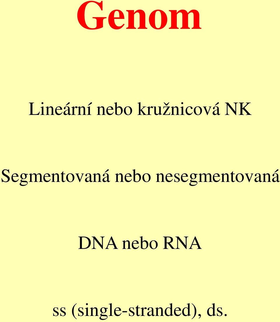 nebo nesegmentovaná DNA