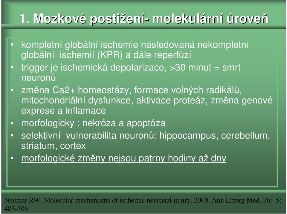 proteáz, změna genové exprese a inflamace morfologicky : nekróza a apoptóza selektivní vulnerabilita neuronů: hippocampus, cerebellum, striatum,