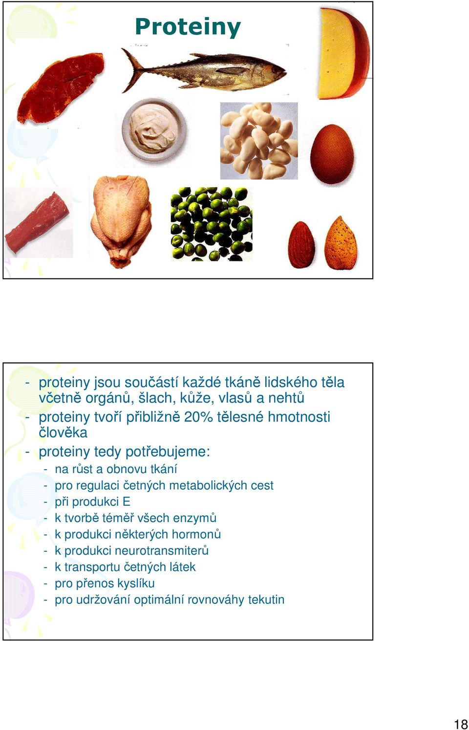 četných metabolických cest - při produkci E - k tvorbě téměř všech enzymů - k produkci některých hormonů - k