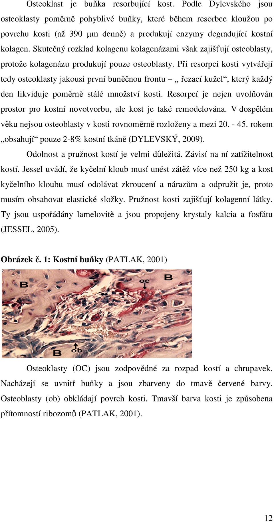 Skutečný rozklad kolagenu kolagenázami však zajišťují osteoblasty, protože kolagenázu produkují pouze osteoblasty.