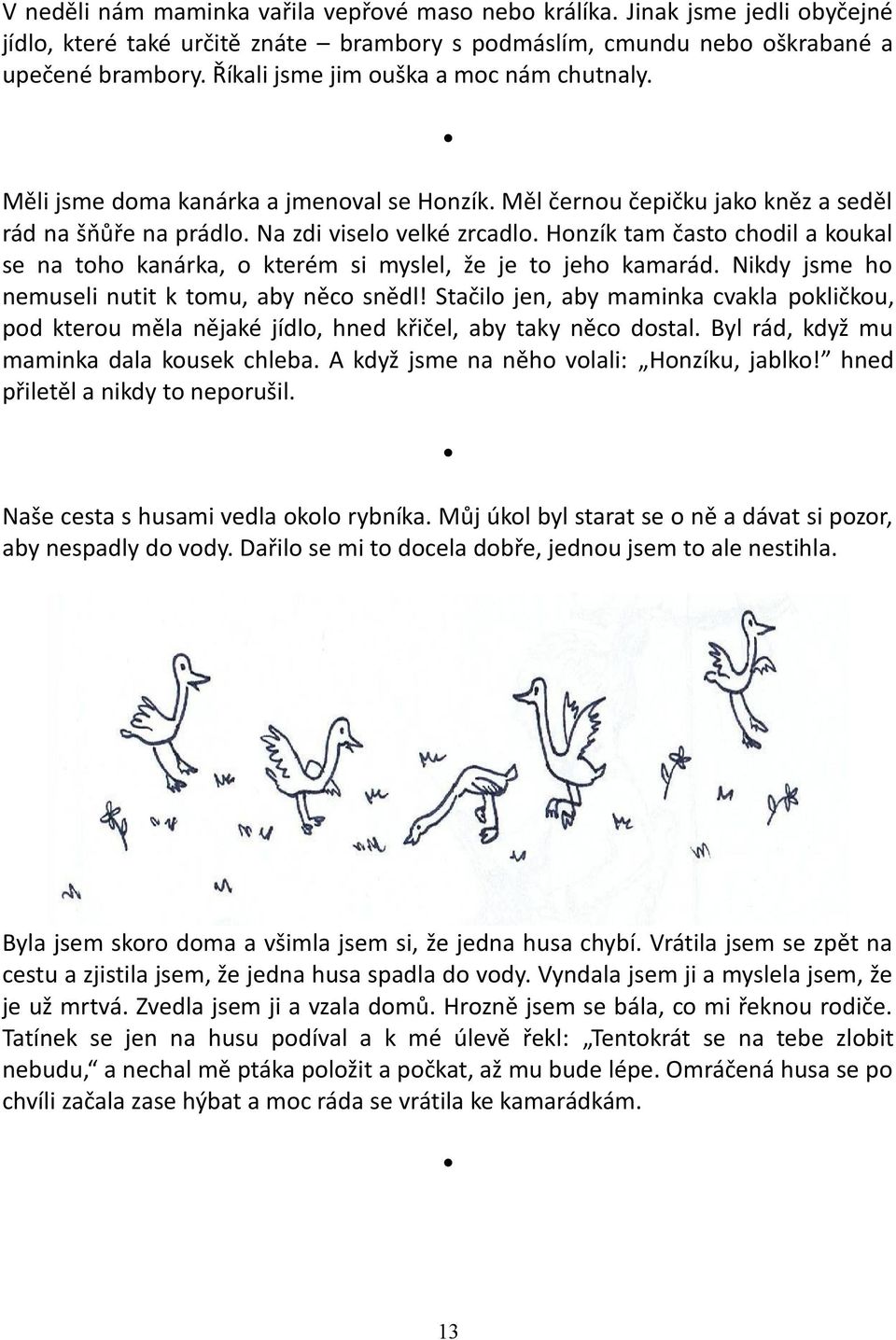 Honzík tam často chodil a koukal se na toho kanárka, o kterém si myslel, že je to jeho kamarád. Nikdy jsme ho nemuseli nutit k tomu, aby něco snědl!