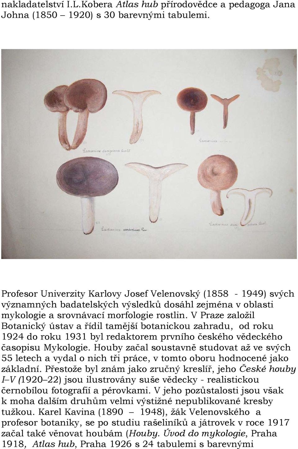 V Praze založil Botanický ústav a řídil tamější botanickou zahradu, od roku 1924 do roku 1931 byl redaktorem prvního českého vědeckého časopisu Mykologie.