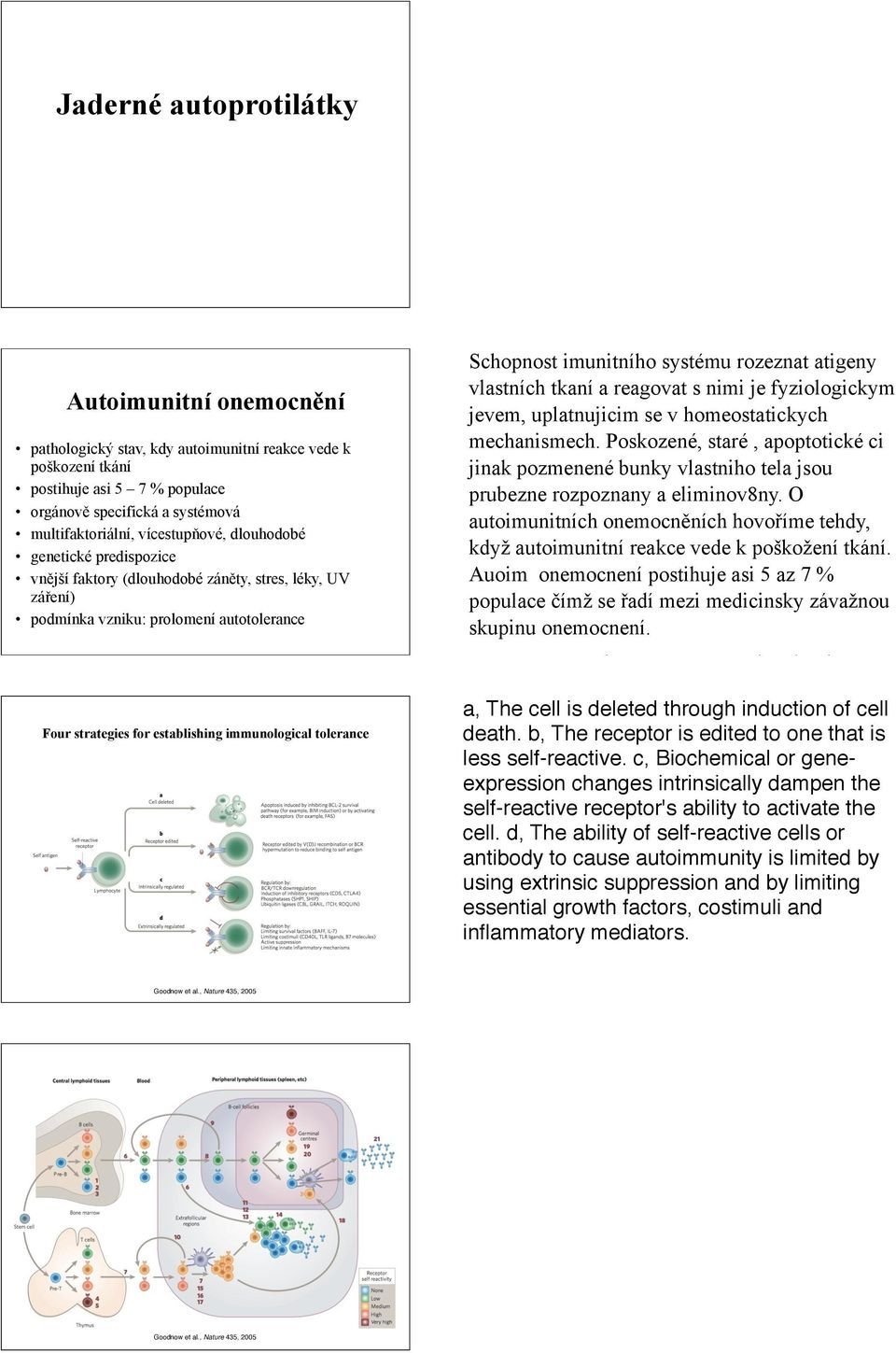 (dlouhodobé zán#ty, stres, léky, UV zá%ení) podmínka vzniku: prolomení autotolerance Four strategies for establishing immunological tolerance Schopnost imunitního systému rozeznat atigeny vlastních