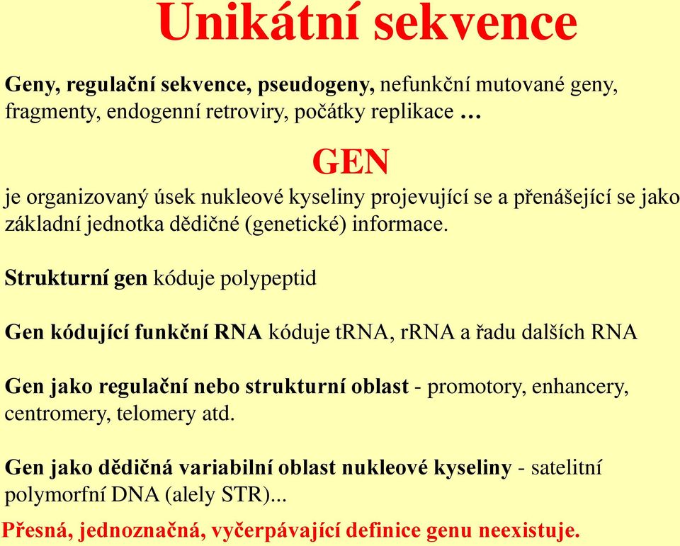 Strukturní gen kóduje polypeptid Gen kódující funkční RNA kóduje trna, rrna a řadu dalších RNA Gen jako regulační nebo strukturní oblast - promotory,