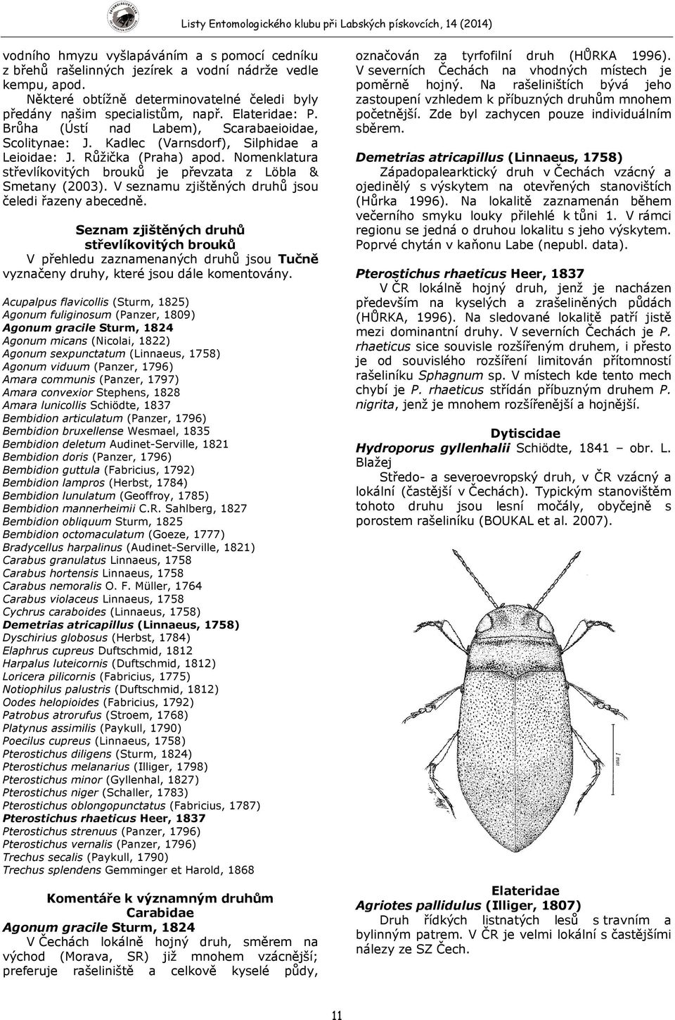 Nomenklatura střevlíkovitých brouků je převzata z Löbla & Smetany (2003). V seznamu zjištěných druhů jsou čeledi řazeny abecedně.