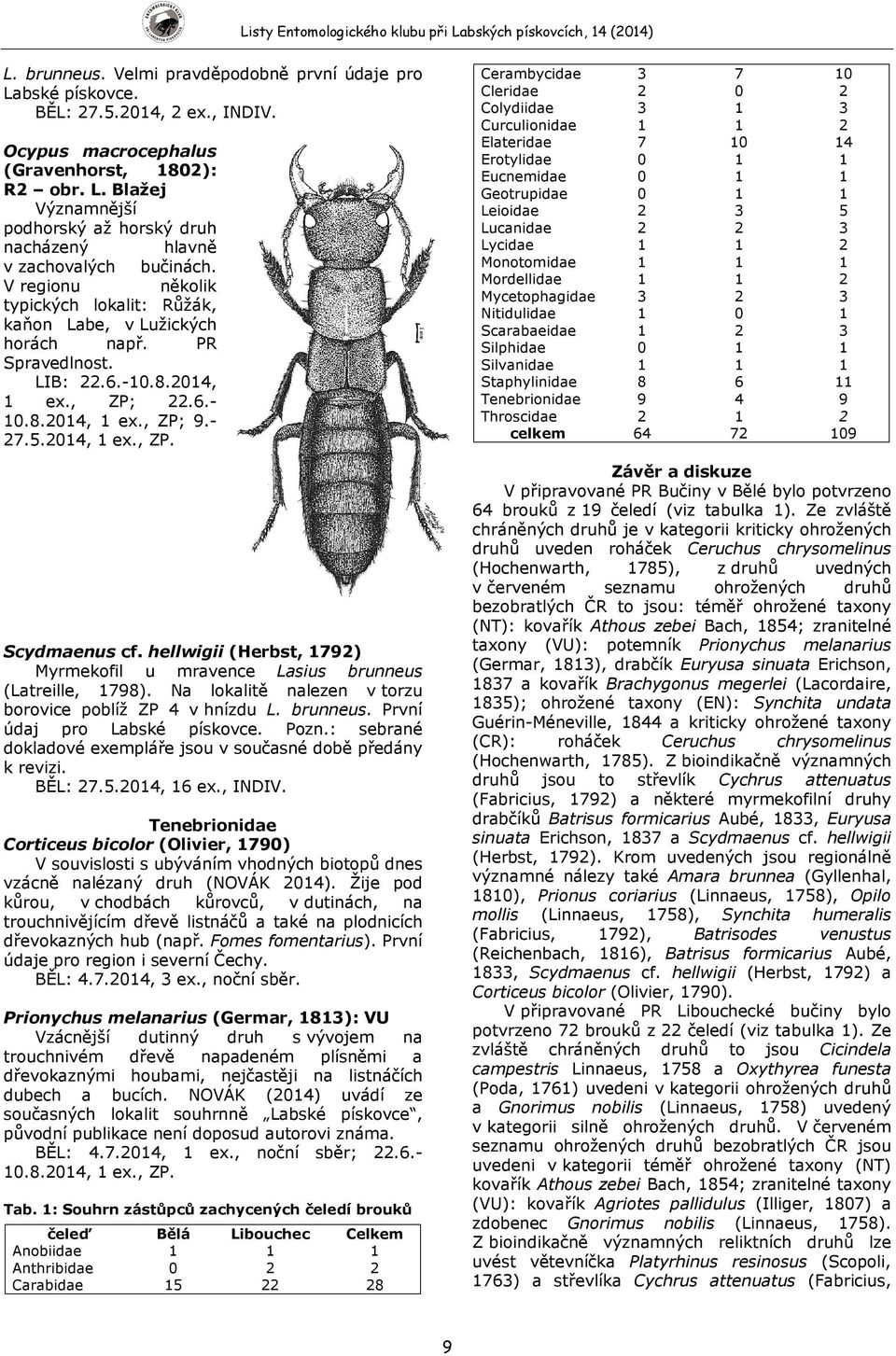 hellwigii (Herbst, 1792) Myrmekofil u mravence Lasius brunneus (Latreille, 1798). Na lokalitě nalezen v torzu borovice poblíž ZP 4 v hnízdu L. brunneus. První údaj pro Labské pískovce. Pozn.