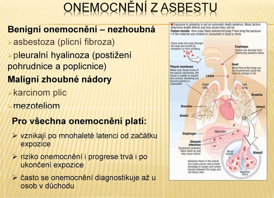 mezoteliom Pro všechna onemocnění platí: vznikají po mnohaleté latenci od začátku expozice