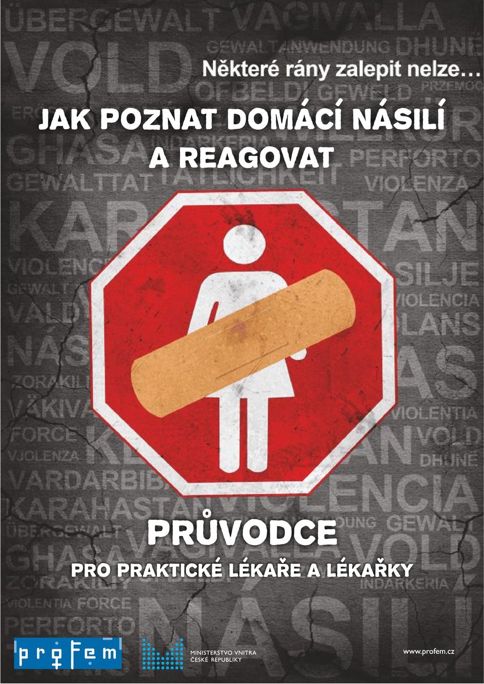 Průvodce pro