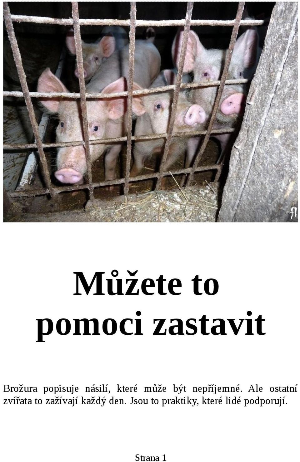 Ale ostatní zvířata to zažívají každý den.