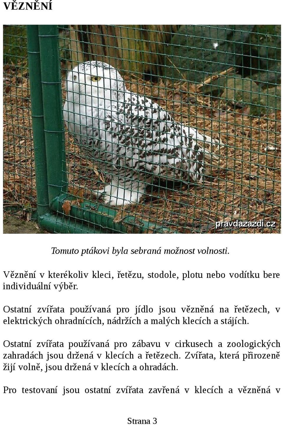 Ostatní zvířata používaná pro jídlo jsou vězněná na řetězech, v elektrických ohradnících, nádržích a malých klecích a stájích.