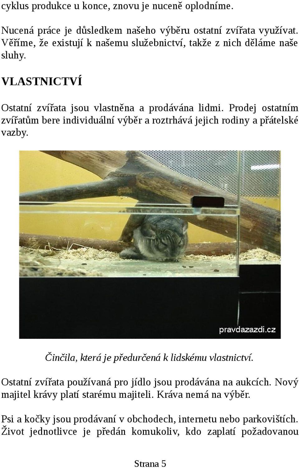 Prodej ostatním zvířatům bere individuální výběr a roztrhává jejich rodiny a přátelské vazby. Činčila, která je předurčená k lidskému vlastnictví.