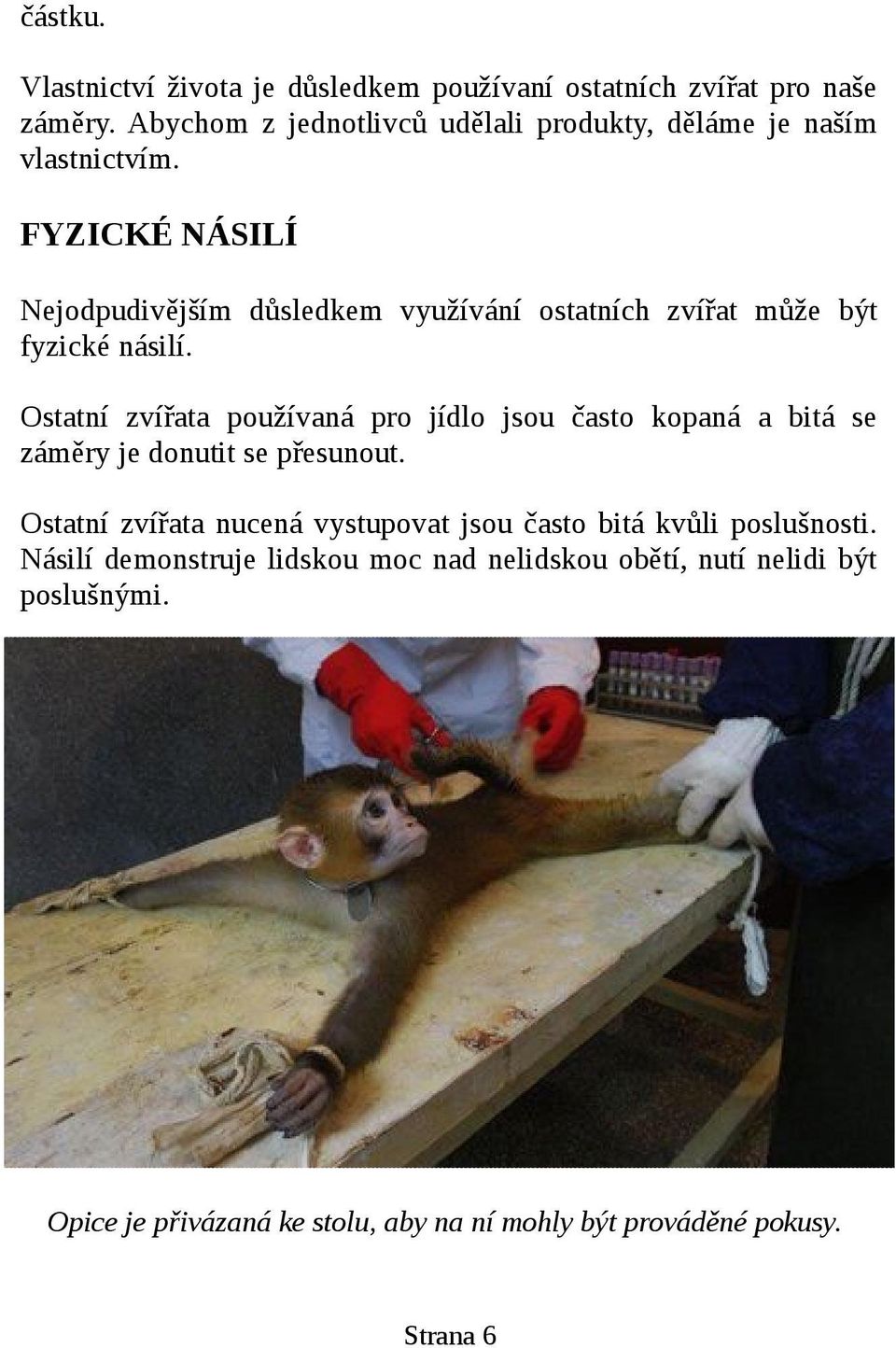 FYZICKÉ NÁSILÍ Nejodpudivějším důsledkem využívání ostatních zvířat může být fyzické násilí.