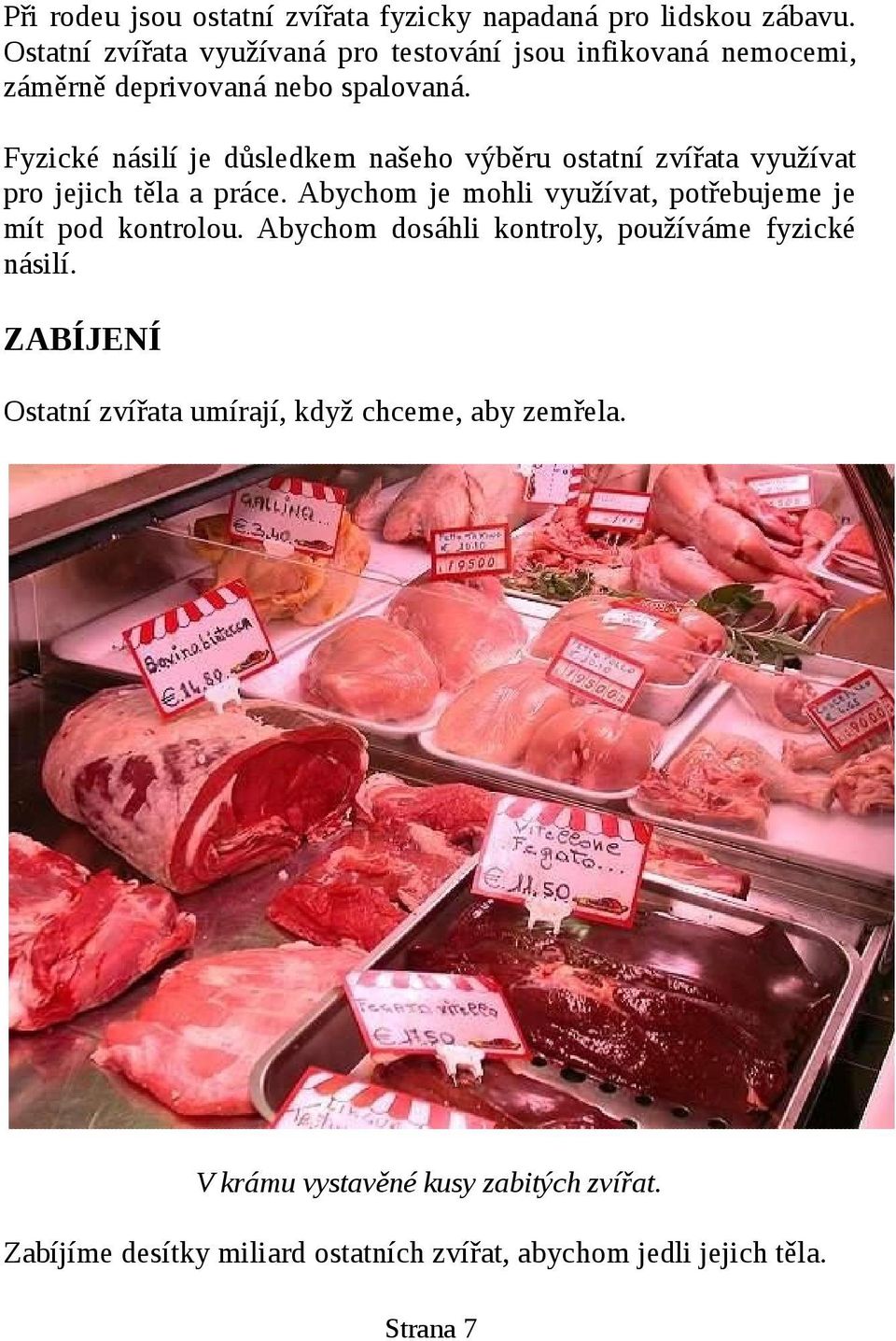 Fyzické násilí je důsledkem našeho výběru ostatní zvířata využívat pro jejich těla a práce.