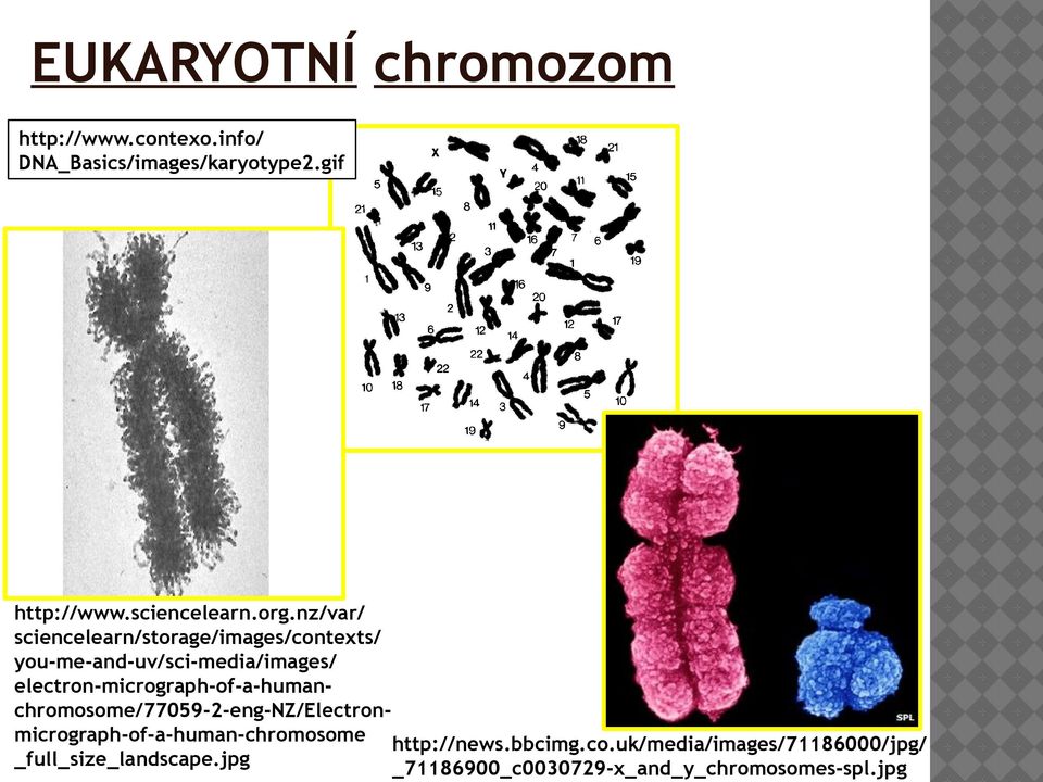 nz/var/ sciencelearn/storage/images/contexts/ you-me-and-uv/sci-media/images/