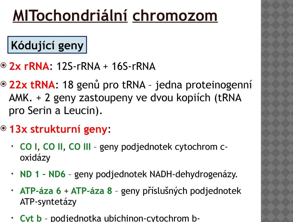 13x strukturní geny: CO I, CO II, CO III geny podjednotek cytochrom coxidázy ND 1 ND6 geny podjednotek