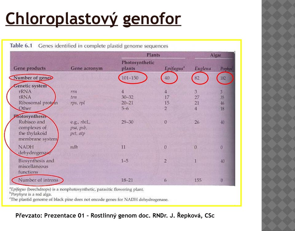 01 Rostlinný genom doc.