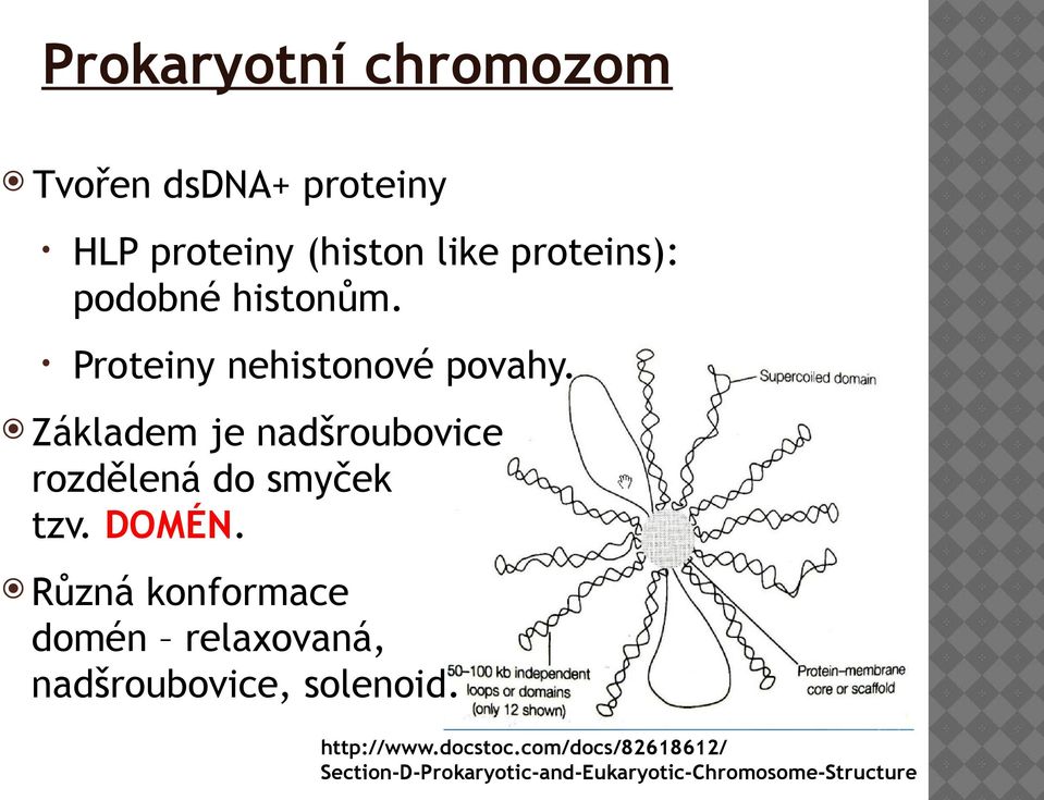 Základem je nadšroubovice rozdělená do smyček tzv. DOMÉN.