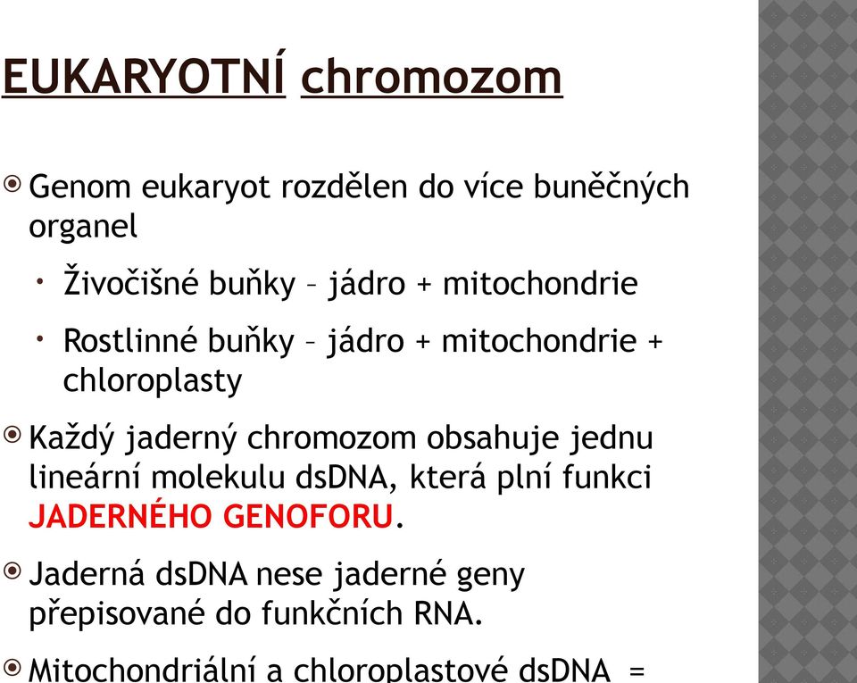 chromozom obsahuje jednu lineární molekulu dsdna, která plní funkci JADERNÉHO GENOFORU.