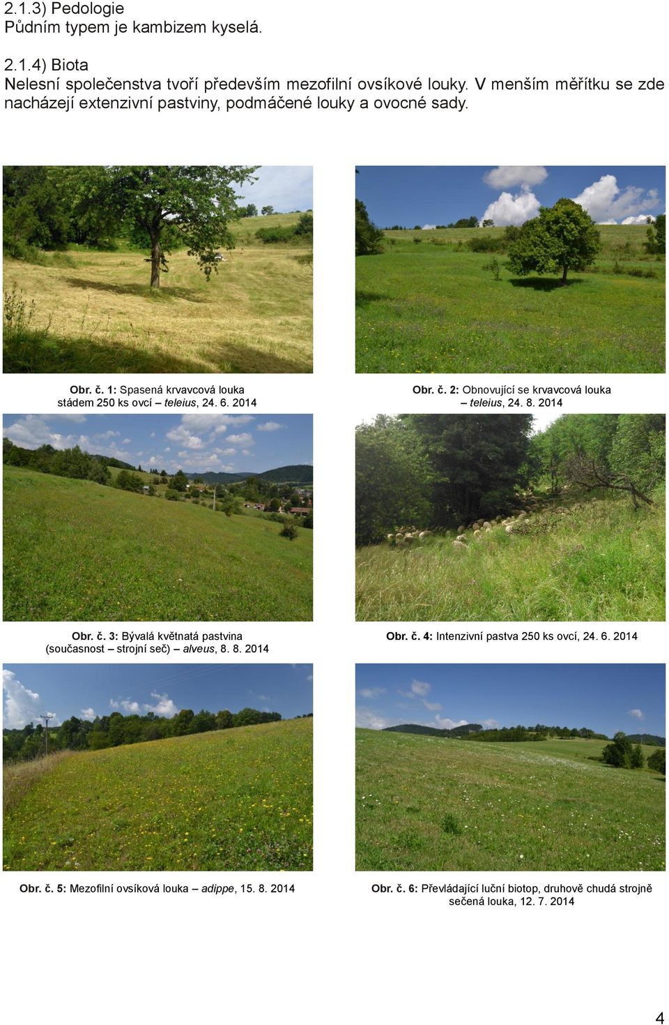 2014 Obr. č. 2: Obnovující se krvavcová louka teleius, 24. 8. 2014 Obr. č. 3: Bývalá květnatá pastvina (současnost strojní seč) alveus, 8. 8. 2014 Obr. č. 4: Intenzivní pastva 250 ks ovcí, 24.