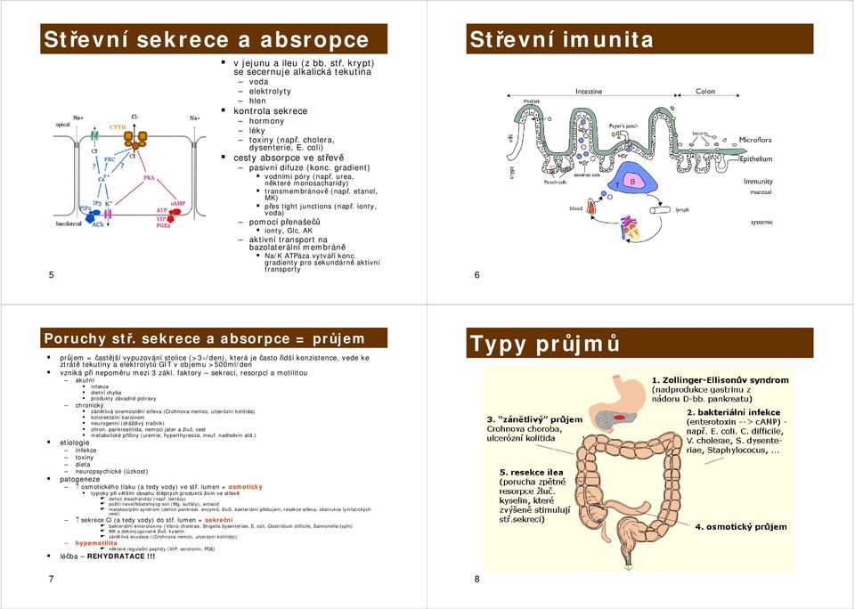 ionty, voda) pomocí přenašečů ionty, Glc, AK aktivní transport na bazolaterální membráně Na/K ATPáza vytváří konc. gradienty pro sekundárně aktivní transporty Střevní imunita 6 Poruchy stř.