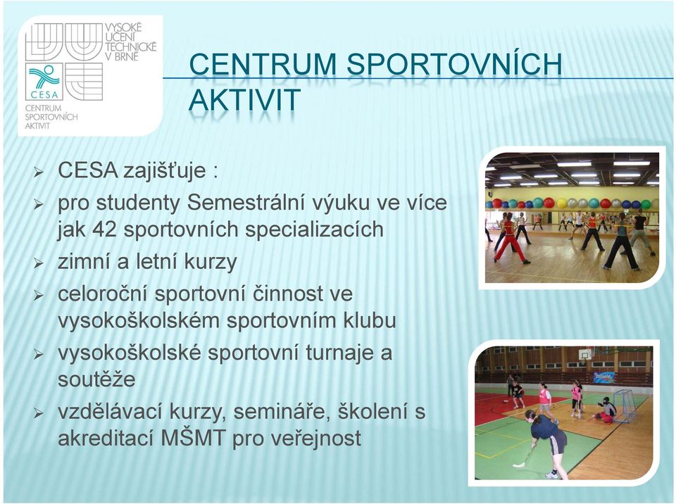 sportovní činnost ve vysokoškolském sportovním klubu vysokoškolské sportovní