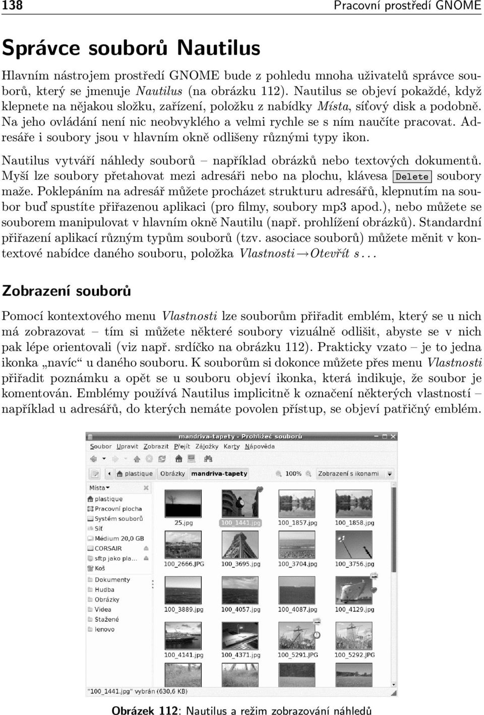 Adresáře i soubory jsou v hlavním okně odlišeny různými typy ikon. Nautilus vytváří náhledy souborů například obrázků nebo textových dokumentů.