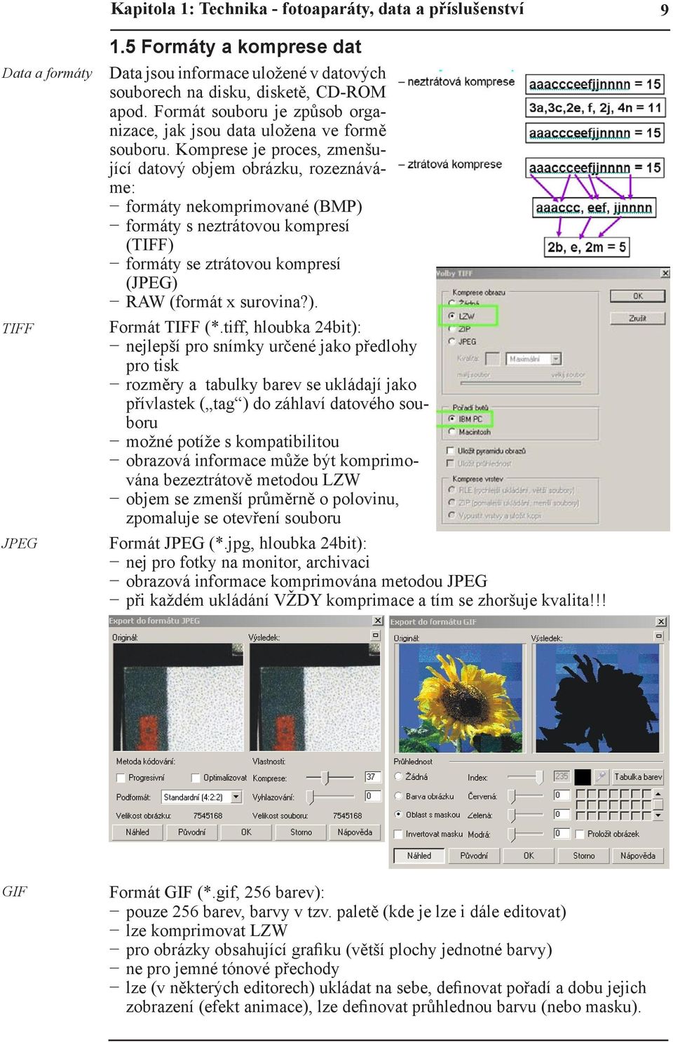 Komprese je proces, zmenšující datový objem obrázku, rozeznáváme: formáty nekomprimované (BMP) formáty s neztrátovou kompresí (TIFF) formáty se ztrátovou kompresí (JPEG) RAW (formát x surovina?). Formát TIFF (*.