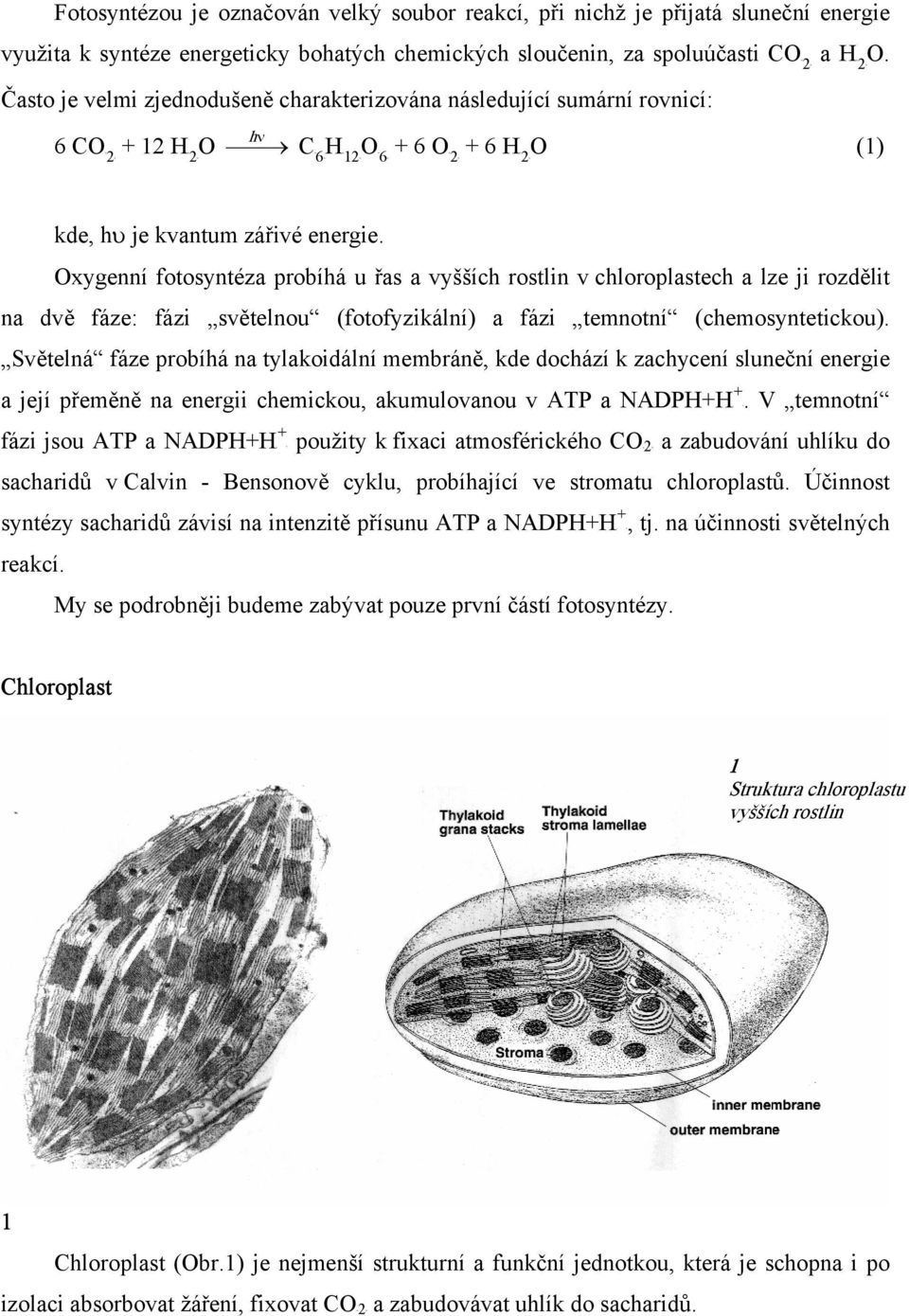 Oxygenní fotosyntéza probíhá u řas a vyšších rostlin v chloroplastech a lze ji rozdělit na dvě fáze: fázi světelnou (fotofyzikální) a fázi temnotní (chemosyntetickou).