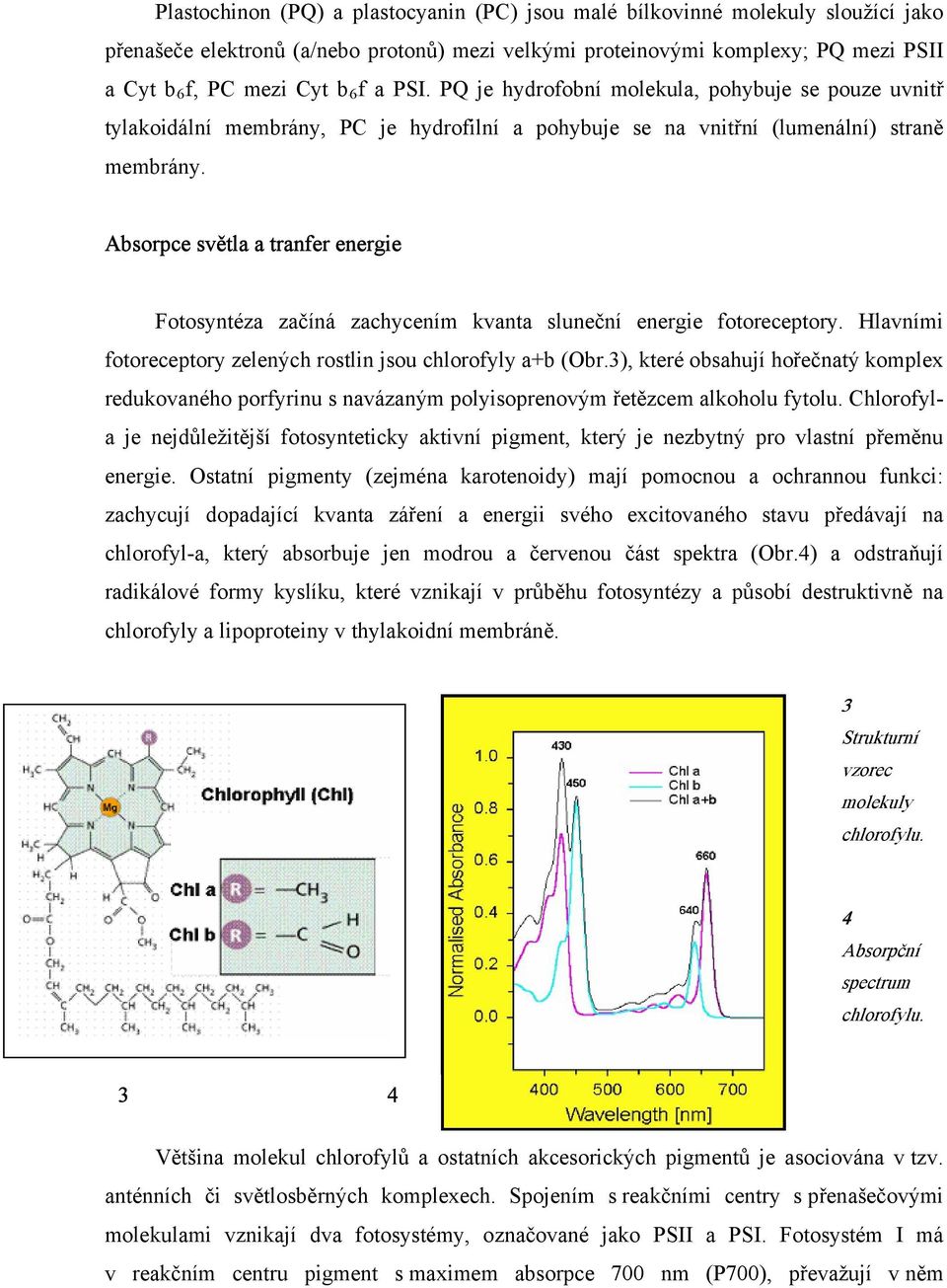 Absorpce světla a tranfer energie Fotosyntéza začíná zachycením kvanta sluneční energie fotoreceptory. Hlavními fotoreceptory zelených rostlin jsou chlorofyly ab (Obr.