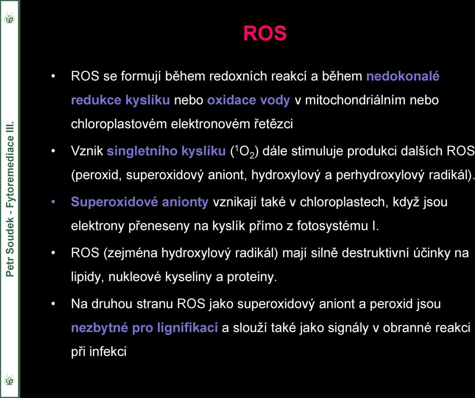 Superoxidové anionty vznikají také v chloroplastech, když jsou elektrony přeneseny na kyslík přímo z fotosystému I.