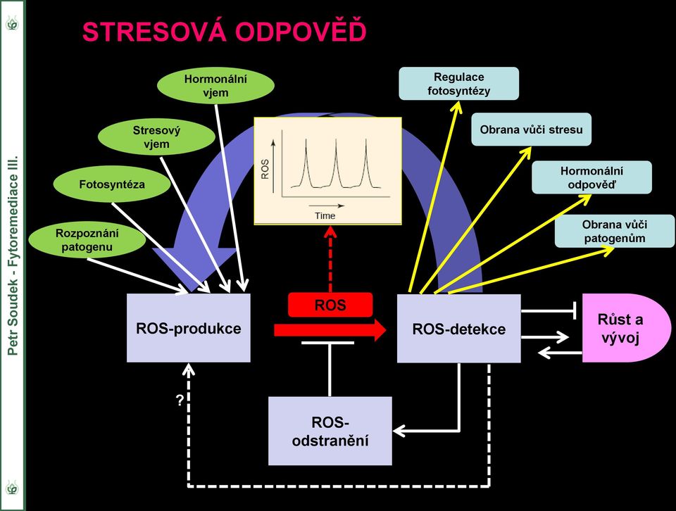 Hormonální odpověď Rozpoznání patogenu Obrana vůči
