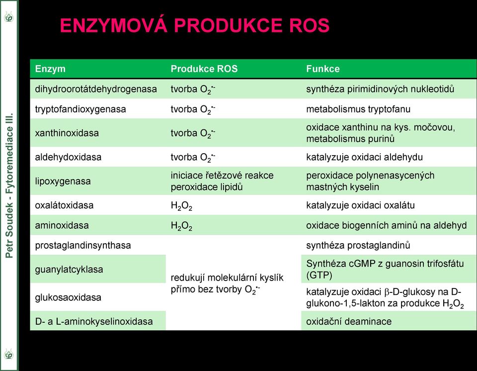 močovou, metabolismus purinů aldehydoxidasa tvorba O 2 - katalyzuje oxidaci aldehydu lipoxygenasa iniciace řetězové reakce peroxidace lipidů peroxidace polynenasycených mastných kyselin oxalátoxidasa