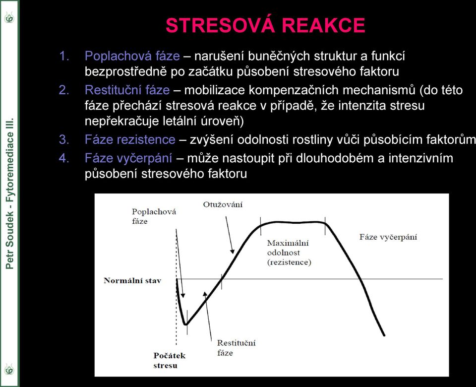 Restituční fáze mobilizace kompenzačních mechanismů (do této fáze přechází stresová reakce v případě, že