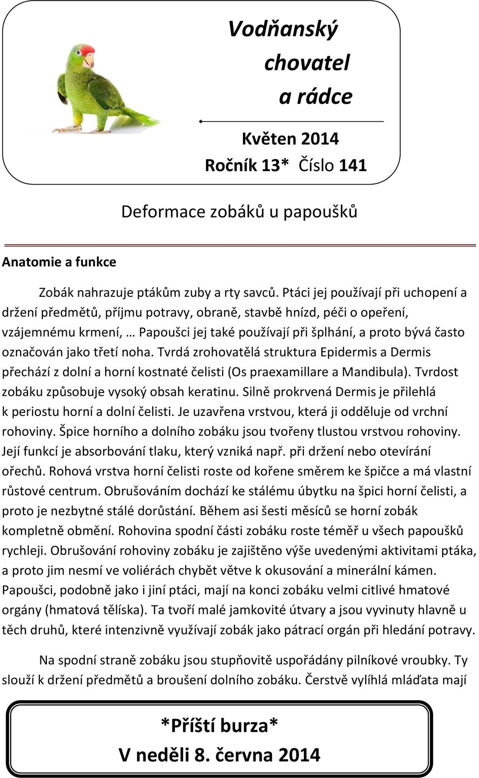 třetí noha. Tvrdá zrohovatělá struktura Epidermis a Dermis přechází z dolní a horní kostnaté čelisti (Os praexamillare a Mandibula). Tvrdost zobáku způsobuje vysoký obsah keratinu.