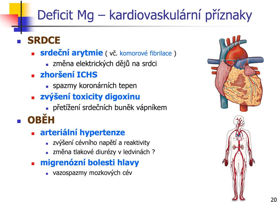 tepen zvýšení toxicity digoxinu OBĚH přetížení srdečních buněk vápníkem arteriální