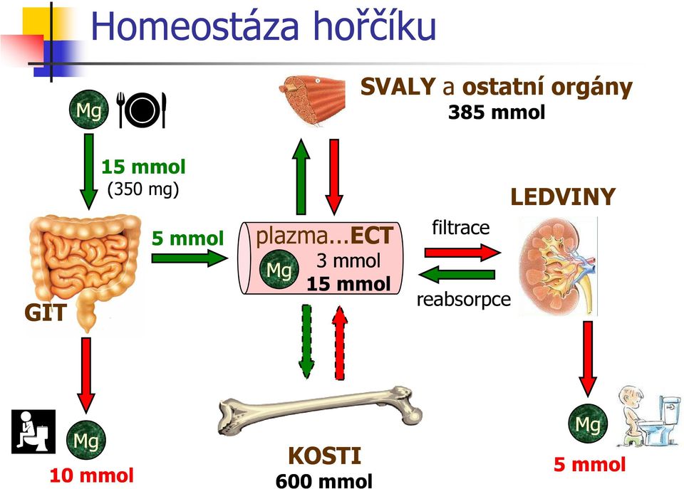 mmol plazma.