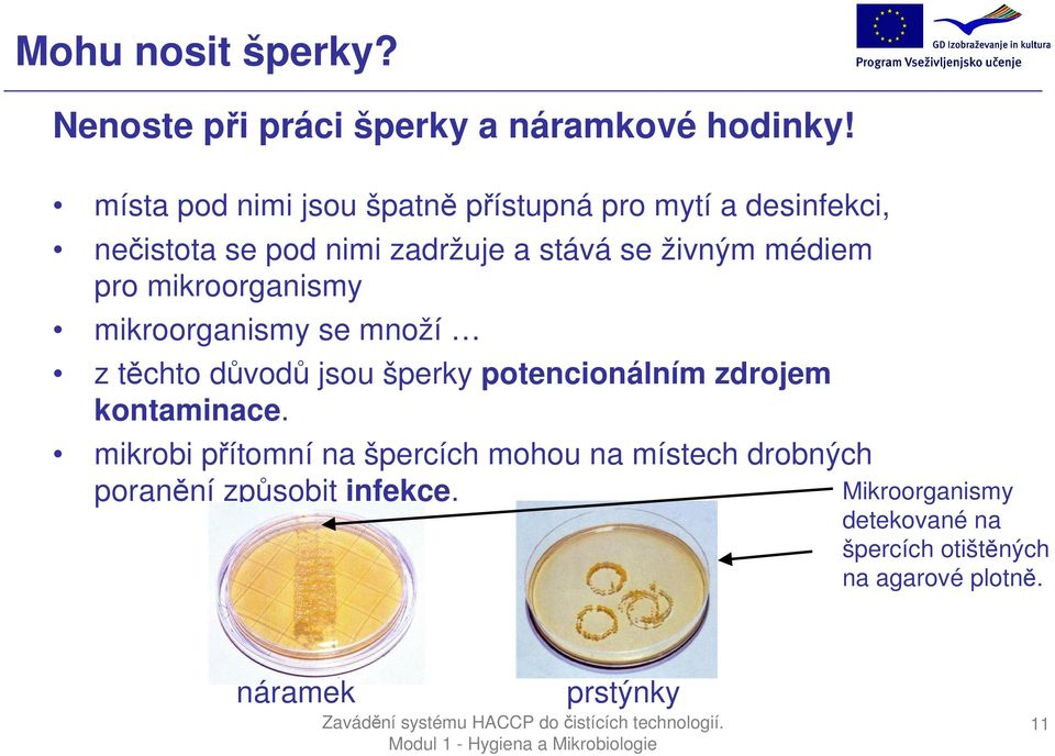 médiem pro mikroorganismy mikroorganismy se množí z těchto důvodů jsou šperky potencionálním zdrojem kontaminace.