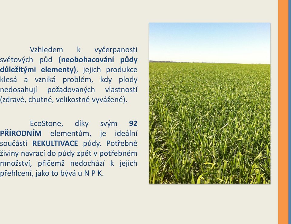 vyvážené). EcoStone, díky svým 92 PŘÍRODNÍM elementům, je ideální součástí REKULTIVACE půdy.