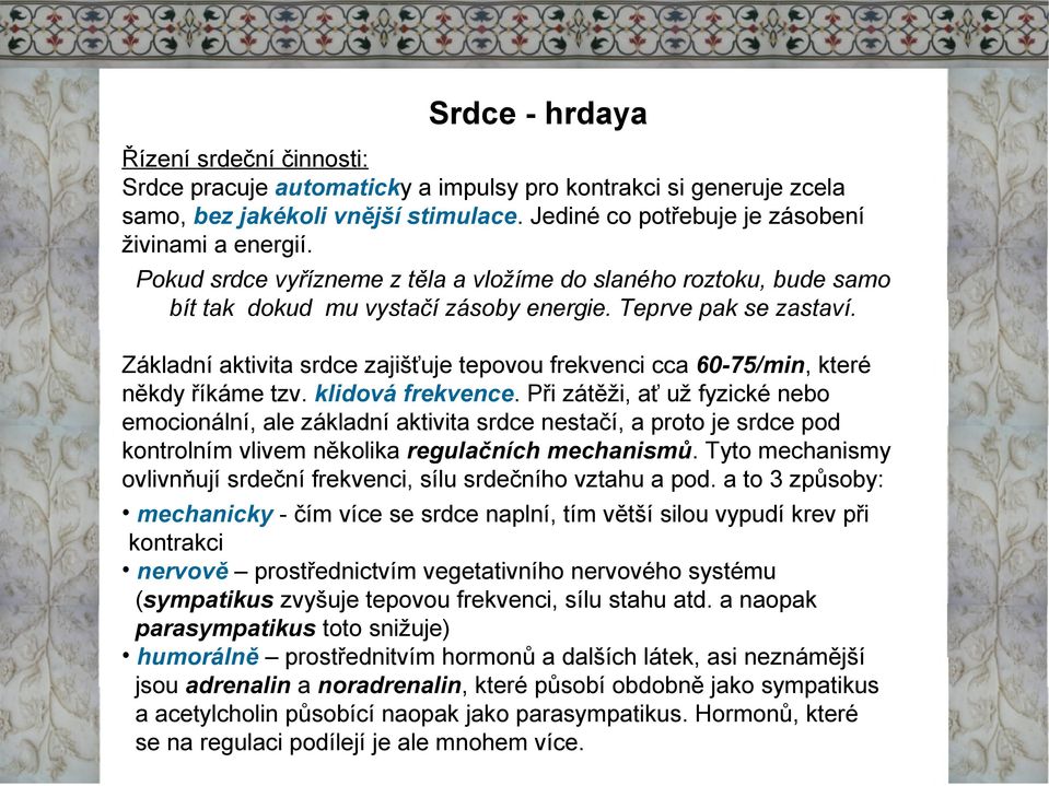 Základní aktivita srdce zajišťuje tepovou frekvenci cca 60-75/min, které někdy říkáme tzv. klidová frekvence.