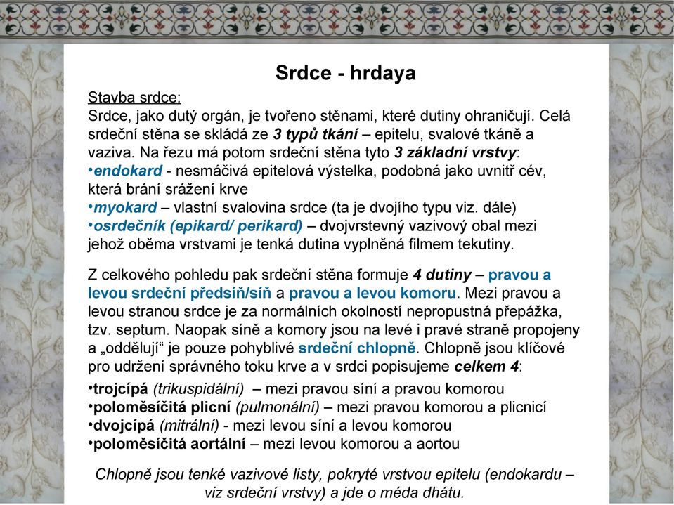 viz. dále) osrdečník (epikard/ perikard) dvojvrstevný vazivový obal mezi jehož oběma vrstvami je tenká dutina vyplněná filmem tekutiny.