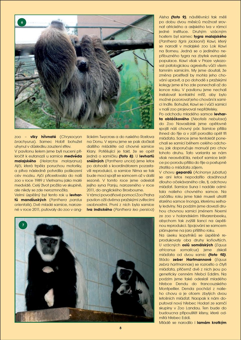 Ajèi pøicestovala do naí zoo v roce 1989 z Vietnamu jako malé medvídì. Celý ivot proila ve skupinì, ale nikdy se zde nerozmnoila.